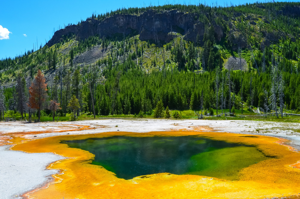 beauty-of-yellowstone-national-park.jpg