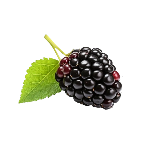 blackberry-tea-benefits-removebg-preview.png