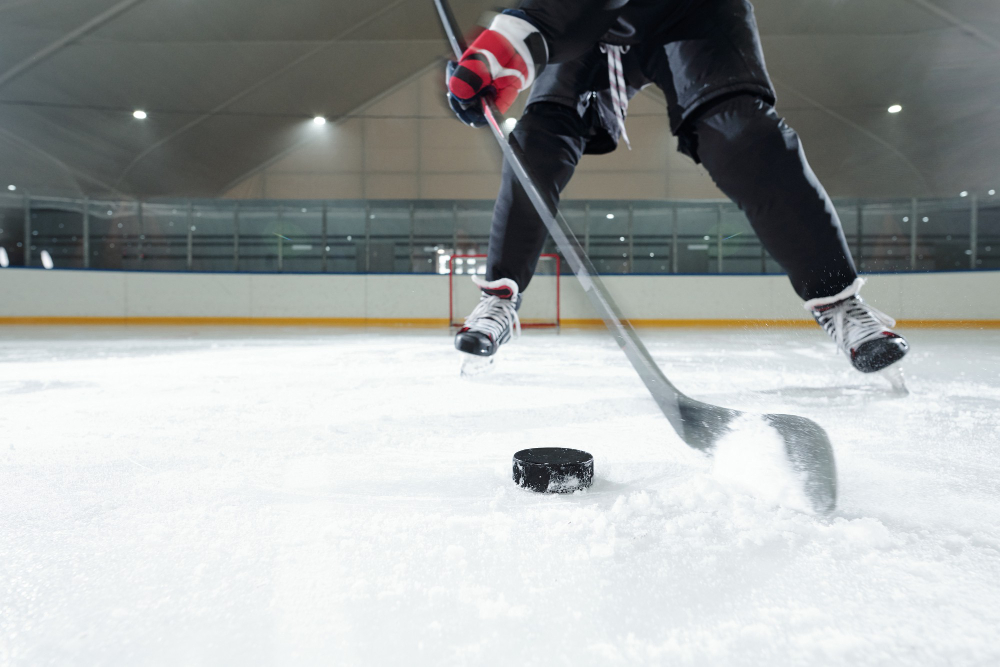 hockey-the-fastest-game-on-ice.jpg