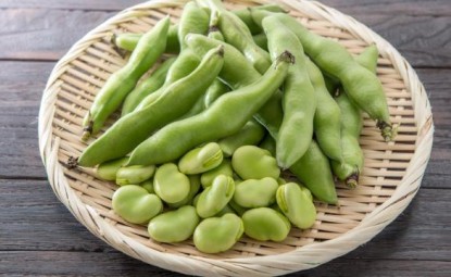 What are the benefits of broad beans?